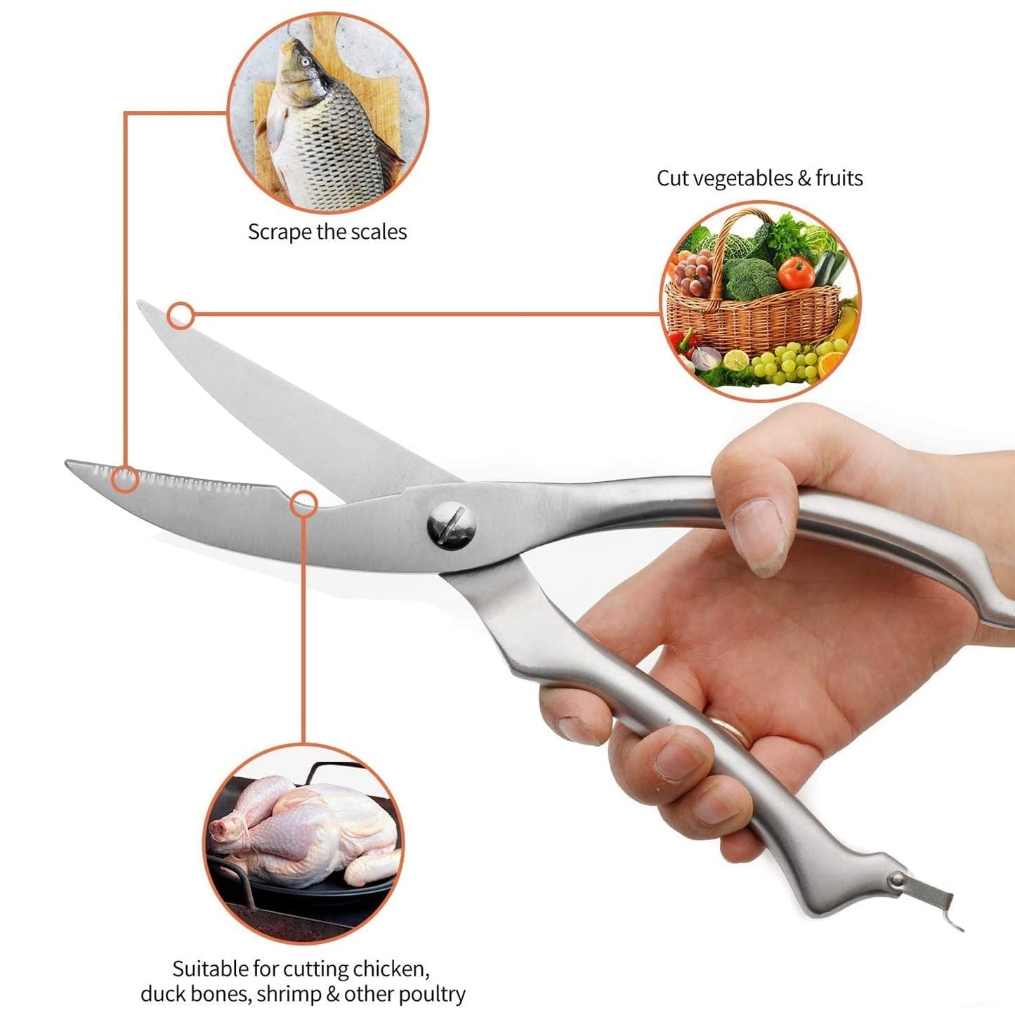 5206 Heavy Duty Stainless Steel Poultry Shears, Premium Ultra Sharp Spring-Loaded Kitchen DeoDap